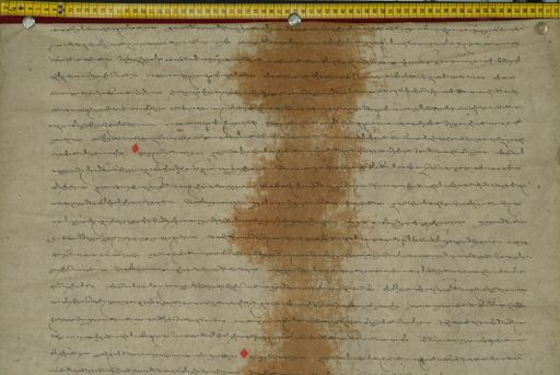 canvas: 1169ac_LTWA_411