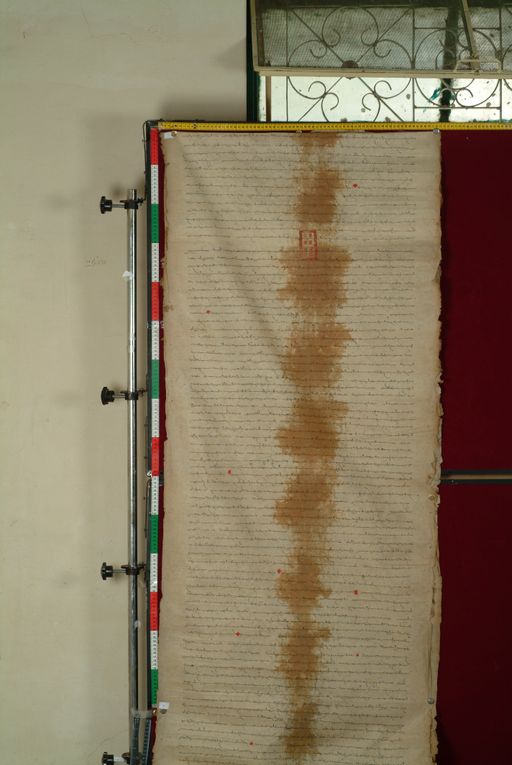 canvas: 1169e_LTWA_411