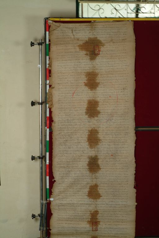 canvas: 1169c_LTWA_411