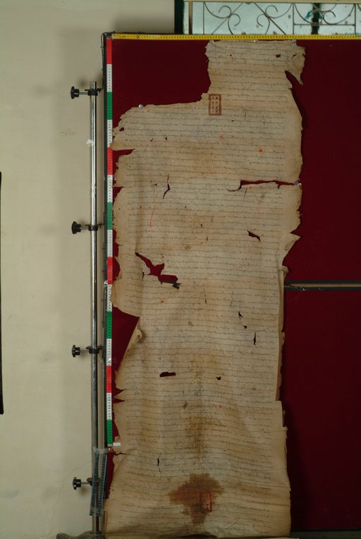 canvas: 1169b_LTWA_411