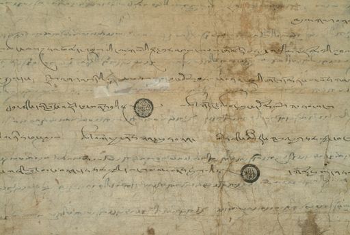 canvas: 1169bp_LTWA_411