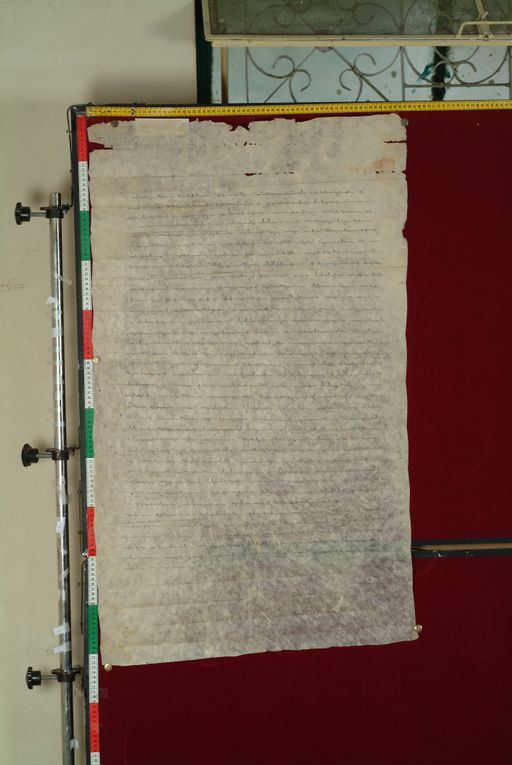 canvas: 1170b_LTWA_412