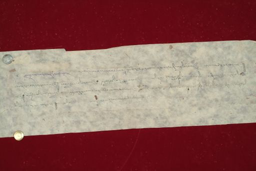 canvas: 1162c_LTWA_373