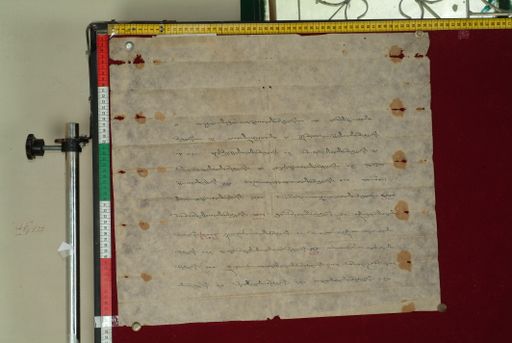 canvas: 1168c_LTWA_410