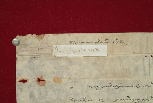 canvas: 1168b_LTWA_410