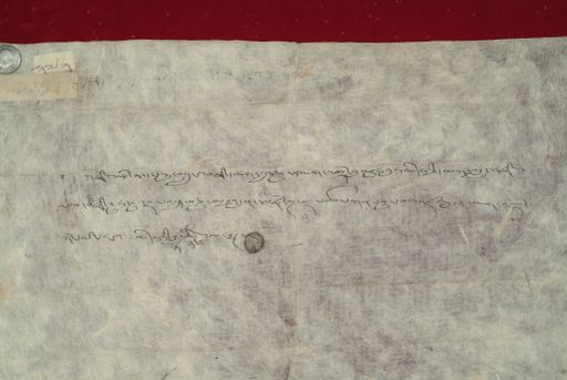 canvas: 1161c_LTWA_372