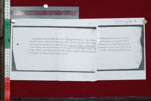 Library of Tibetan Works and Archives (LTWA) ID 4190 (1641_LTWA_882)