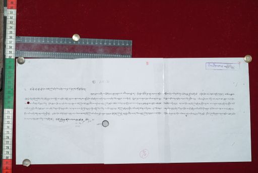 Library of Tibetan Works and Archives (LTWA) ID 4195 (1644_LTWA_885)