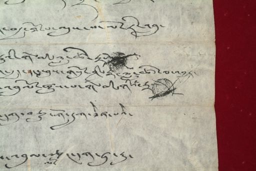 canvas: 1460e_LTWA_702