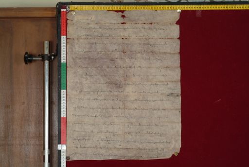 canvas: 1457c_LTWA_699