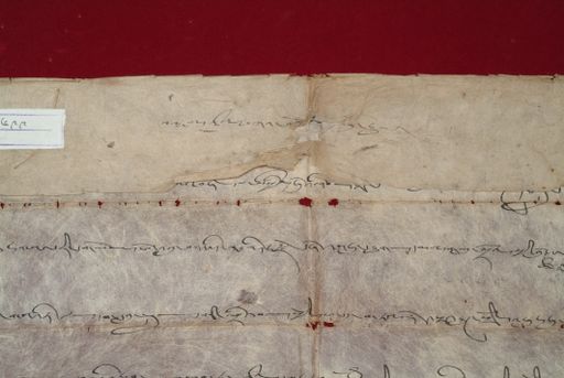 canvas: 1457b_LTWA_699