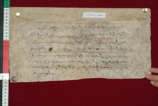 Library of Tibetan Works and Archives (LTWA) ID 4203 (1453_LTWA_695)