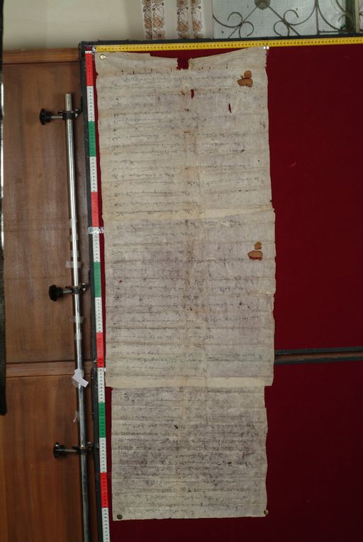 canvas: 1456b_LTWA_698