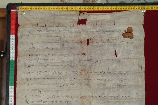 canvas: 1456c_LTWA_698