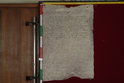 canvas: 1278b_LTWA_520