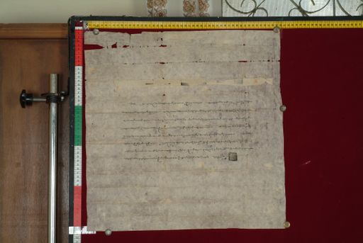 canvas: 1271b_LTWA_513