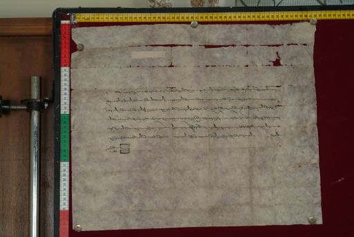 canvas: 1279b_LTWA_521