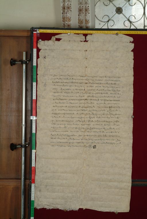 canvas: 1273b_LTWA_515