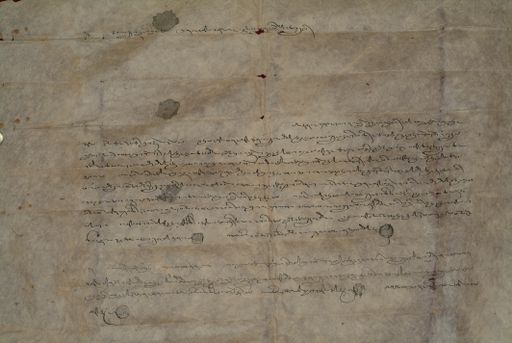 canvas: 1275c_LTWA_517