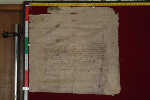 canvas: 1275b_LTWA_517