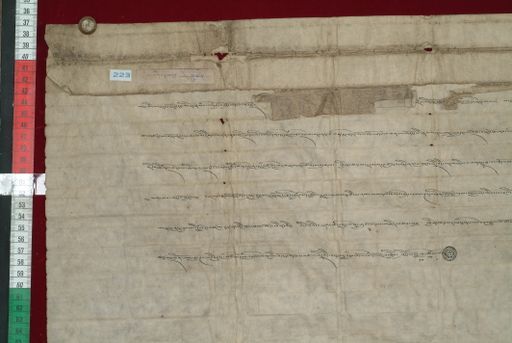 Library of Tibetan Works and Archives (LTWA) ID 4221 (1333_LTWA_575)
