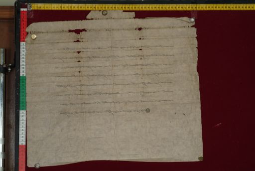 canvas: 1333b_LTWA_575