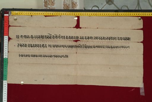 canvas: 1339b_LTWA_581