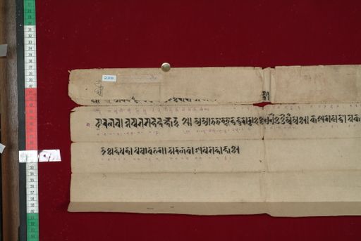Library of Tibetan Works and Archives (LTWA) ID 4223 (1339_LTWA_581)