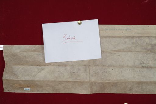 canvas: 1337d_LTWA_579