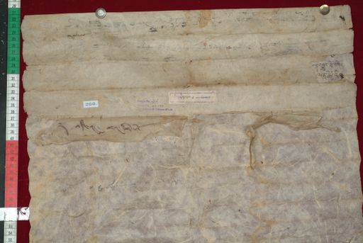 Library of Tibetan Works and Archives (LTWA) ID 4243 (1379_LTWA_621)