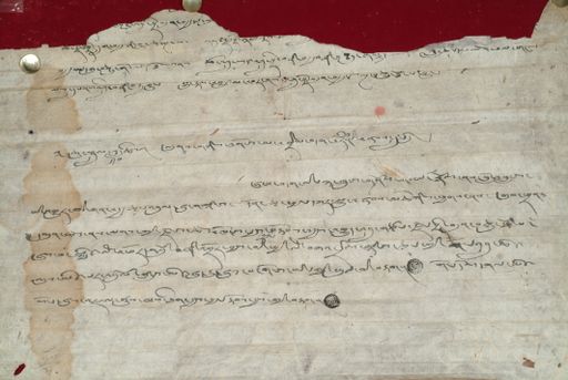 canvas: 1371c_LTWA_613