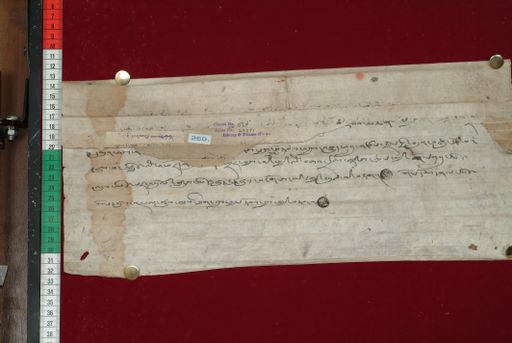 Library of Tibetan Works and Archives (LTWA) ID 4245 (1371_LTWA_613)