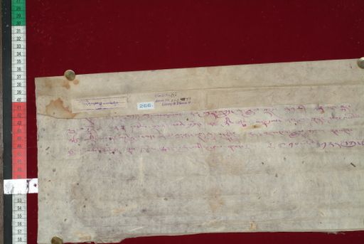 Library of Tibetan Works and Archives (LTWA) ID 4247 (1377_LTWA_619)