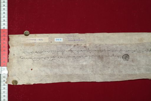 Library of Tibetan Works and Archives (LTWA) ID 4248 (1374_LTWA_616)