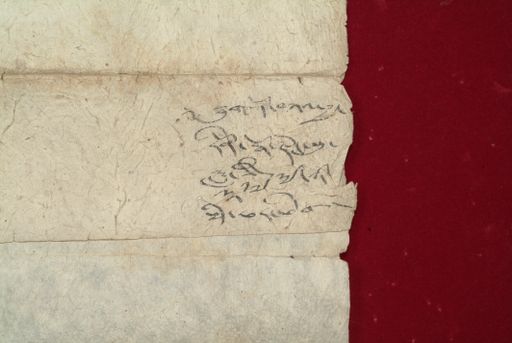 canvas: 1067c_LTWA_278