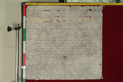 canvas: 1070c_LTWA_281