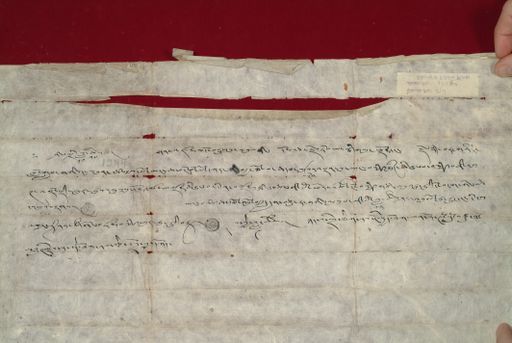 canvas: 1449c_LTWA_691