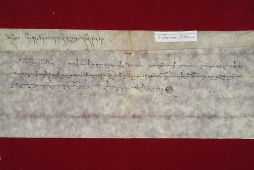 canvas: 1442c_LTWA_684