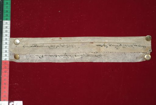 canvas: 1448e_LTWA_690