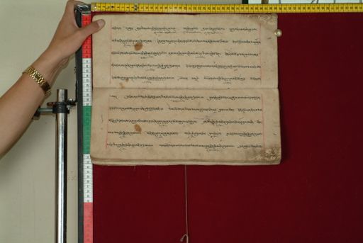 canvas: 0841l_LTWA_33