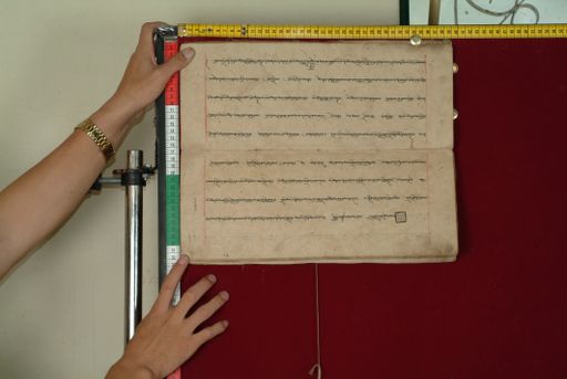 canvas: 0841u_LTWA_33