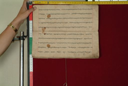 canvas: 0841j_LTWA_33