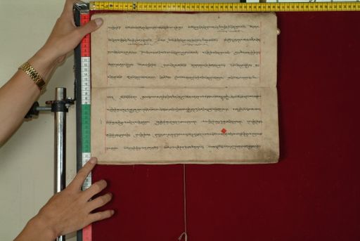 canvas: 0841n_LTWA_33