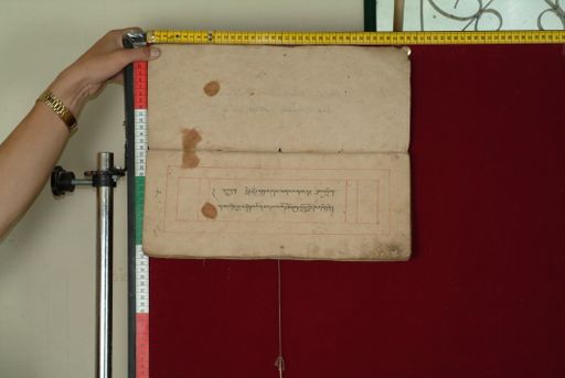 canvas: 0841d_LTWA_33