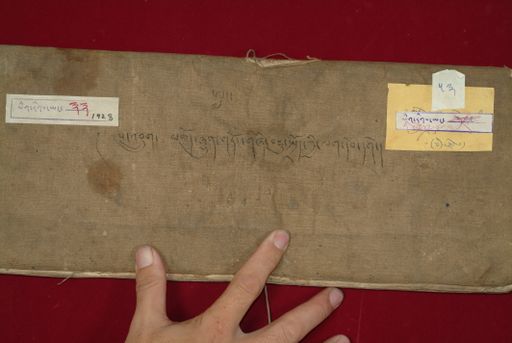 canvas: 0841b_LTWA_33