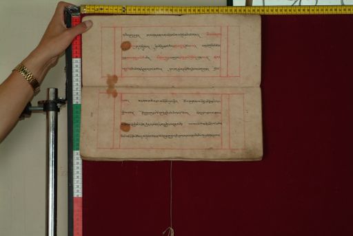 canvas: 0841i_LTWA_33