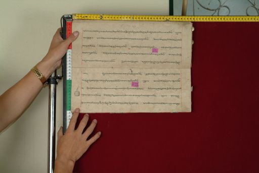 canvas: 0842ad_LTWA_34