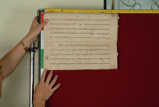 canvas: 0842al_LTWA_34