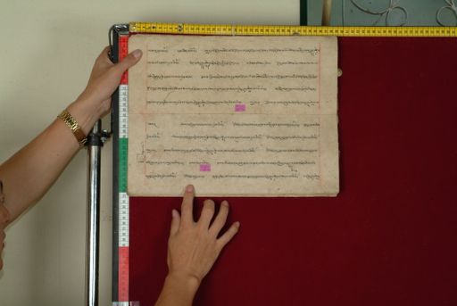 canvas: 0842p_LTWA_34