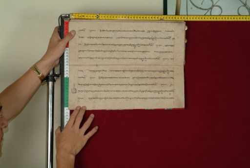 canvas: 0842ao_LTWA_34